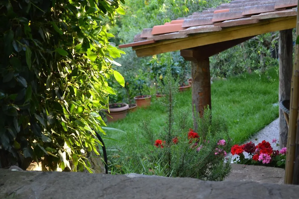 Apartment Appartamenti Le Masse Greve in Chianti