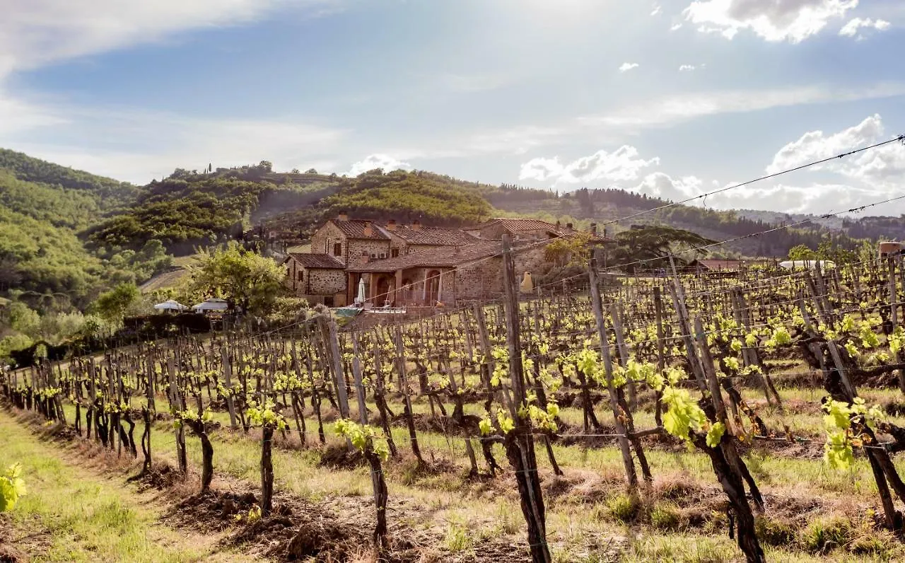Appartamenti Le Masse Greve in Chianti Apartment